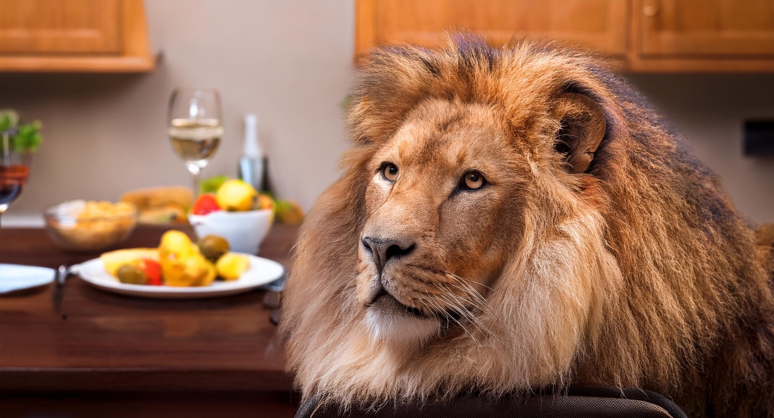 lion diet creative recipies