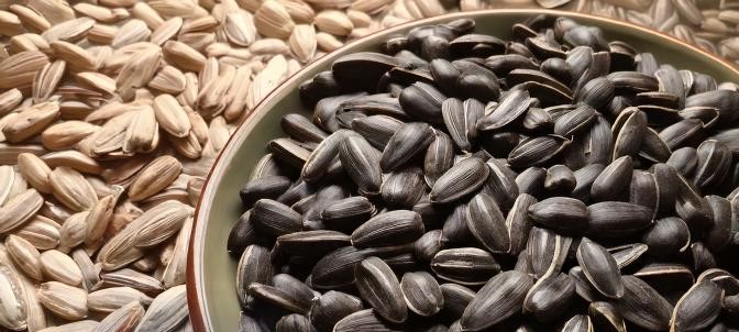 Are Sunflower Seeds Healthy to Eat Every Day